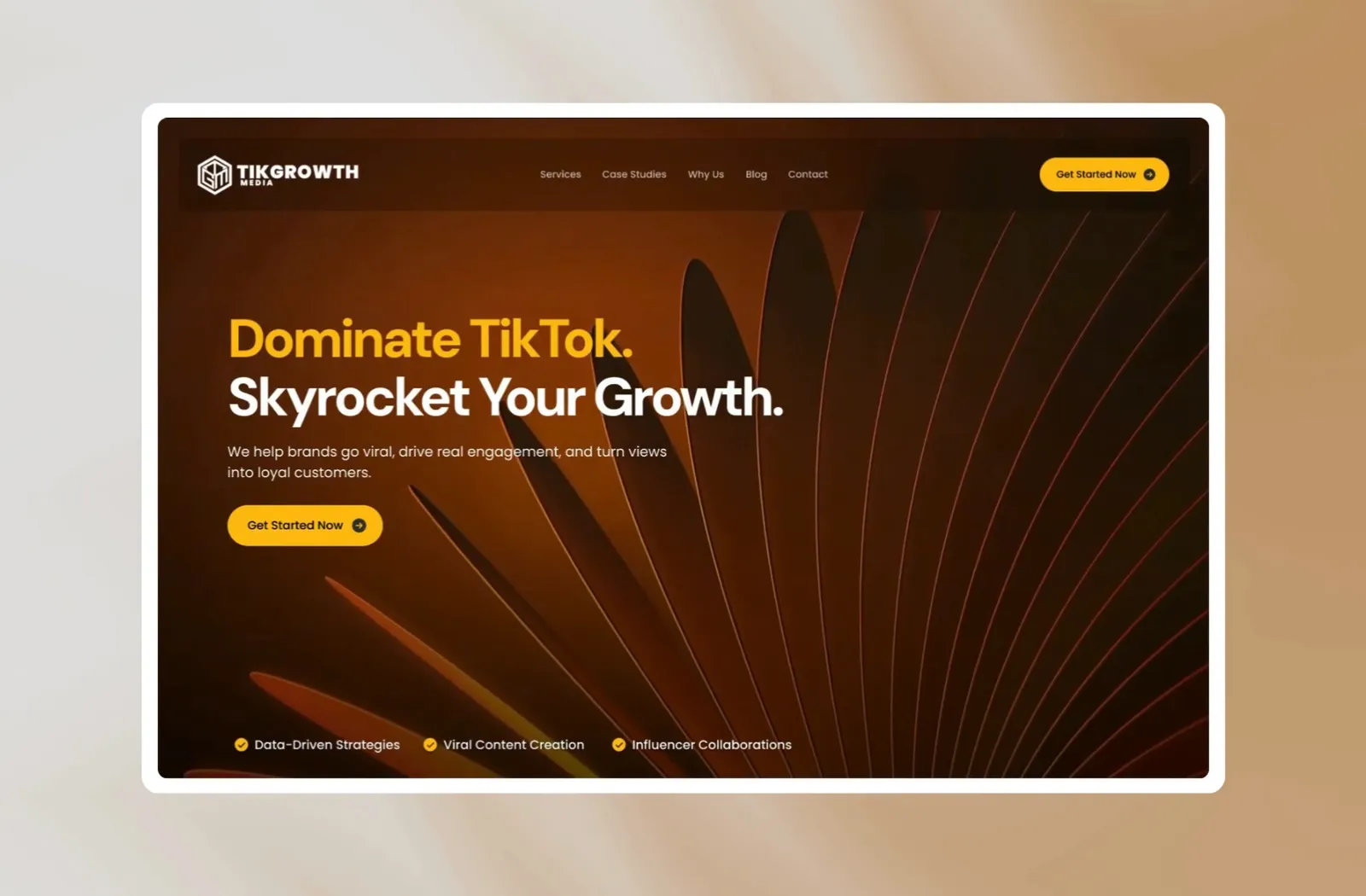 TikGrowth landing page hero design